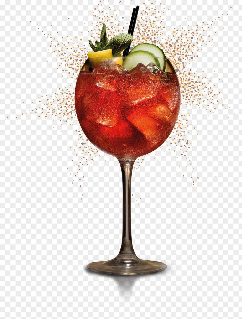 Cocktail Glass Garnish Wine Spritzer Punch PNG