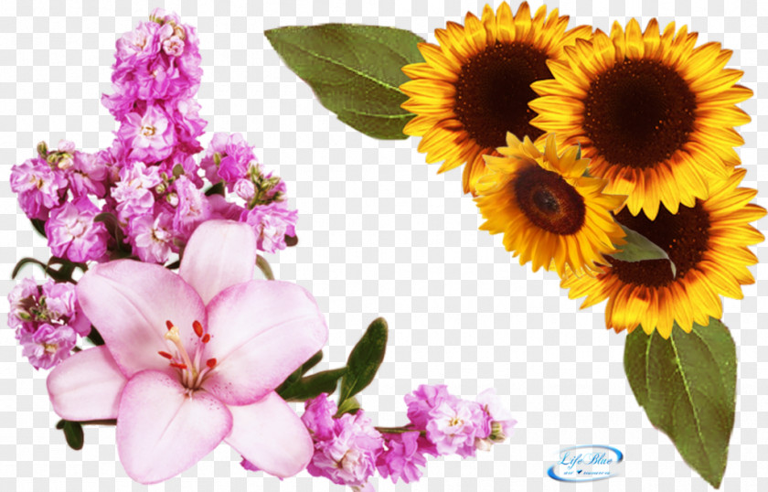 Corner Flowers Pink Clip Art PNG