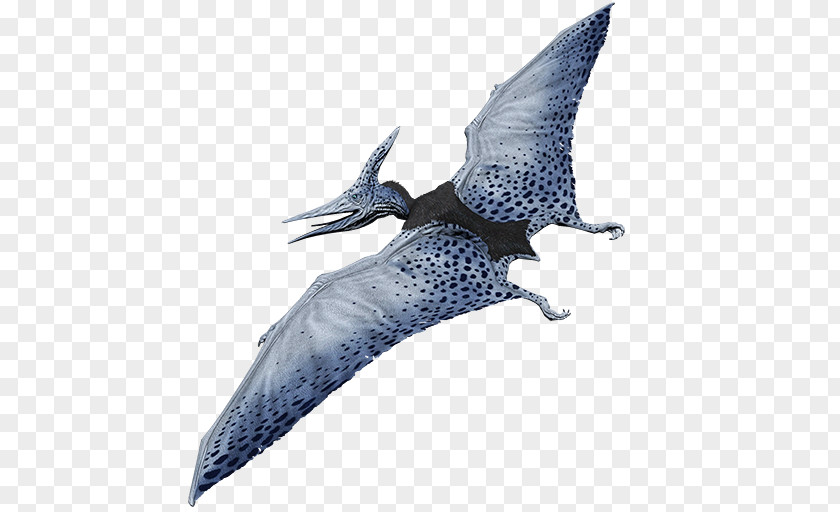 Dinosaur Pteranodon Primal Carnage: Extinction Triceratops PNG
