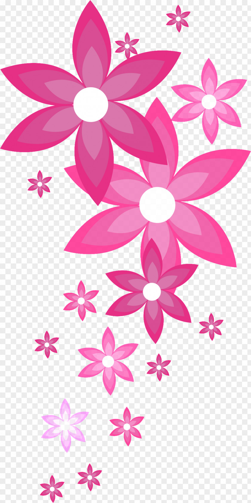 Novi Sad Flower Image Vector Graphics Pink PNG