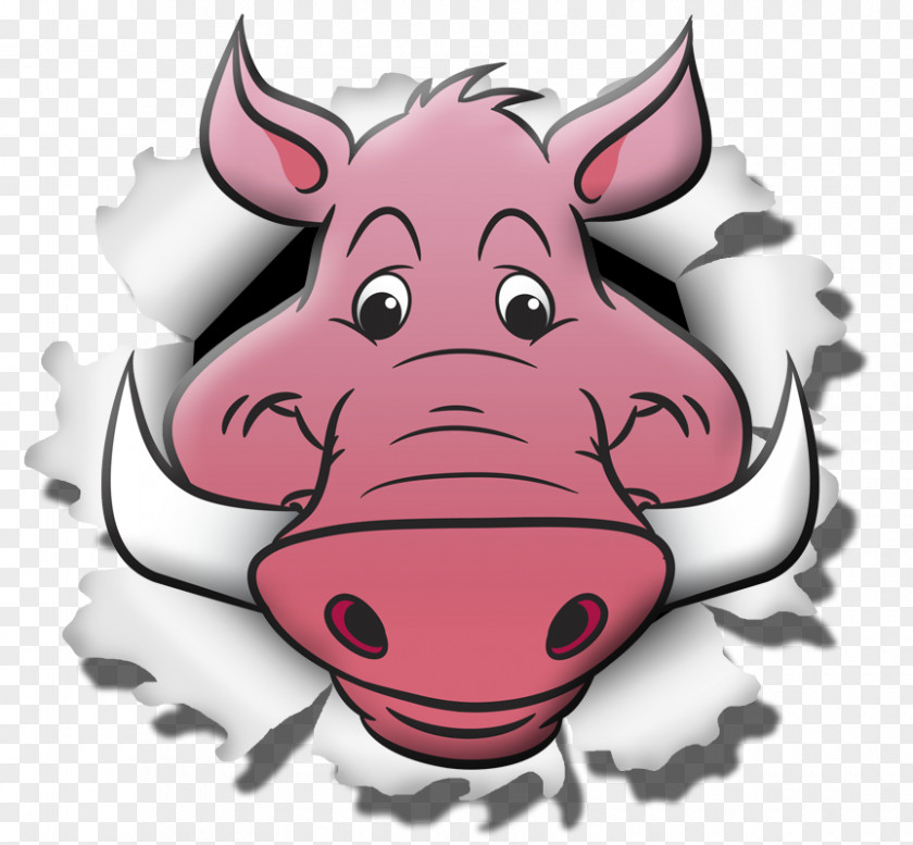 Piggy Bank Personal Finance Money Saving Financial Plan PNG