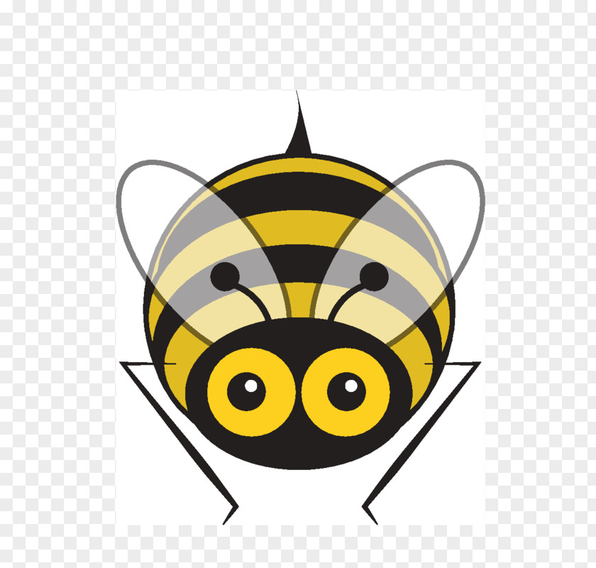 Wasp Insect Honey Bee Pollinator PNG