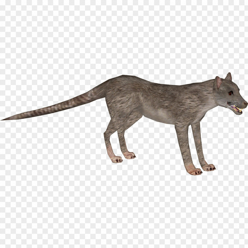 Antelope Red Fox Child Oviraptor Viverridae Coyote PNG