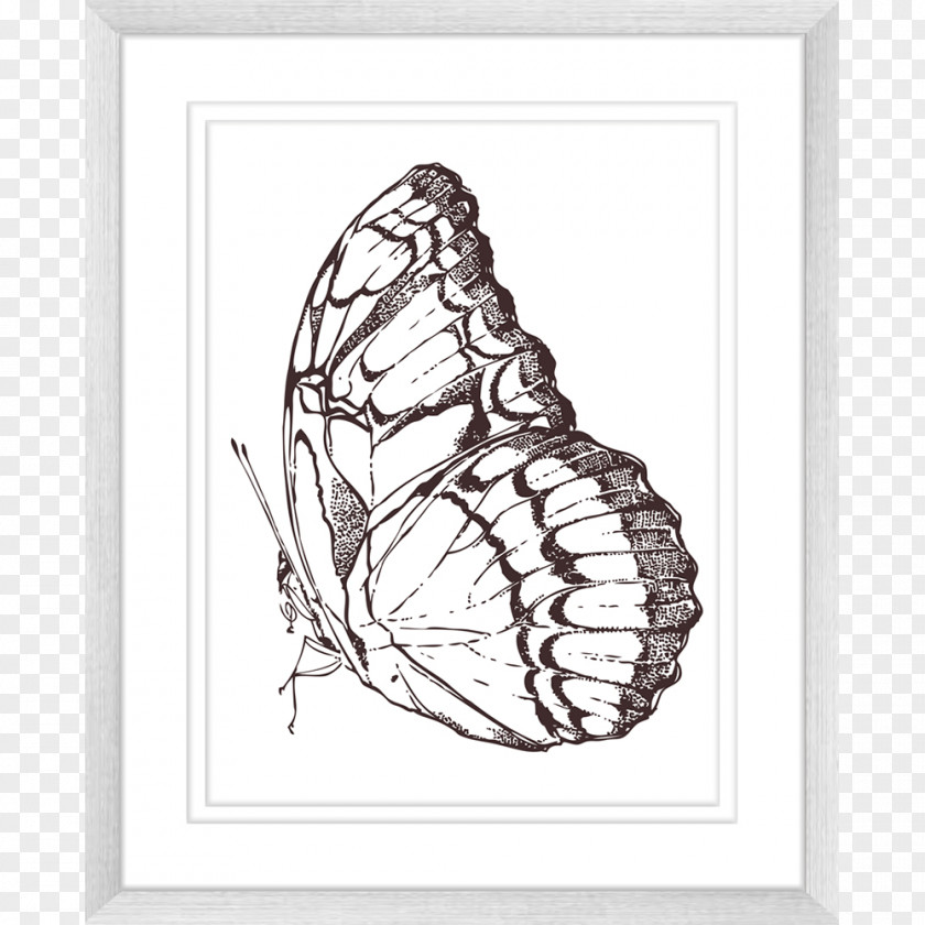 Beautiful Printing Butterfly Visual Arts Innovate Interiors Drawing PNG