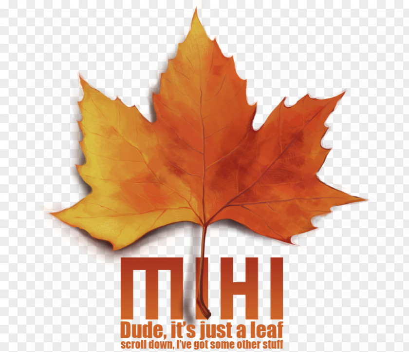 Dinglehopper Maple Leaf Art Word PNG