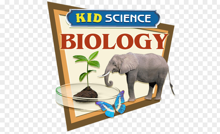 Science Experiments Indian Elephant African Bible Wildlife Elephantidae PNG