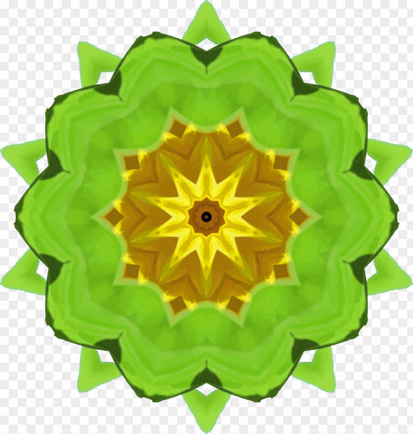 Sunflower Art Drawing Painting PNG