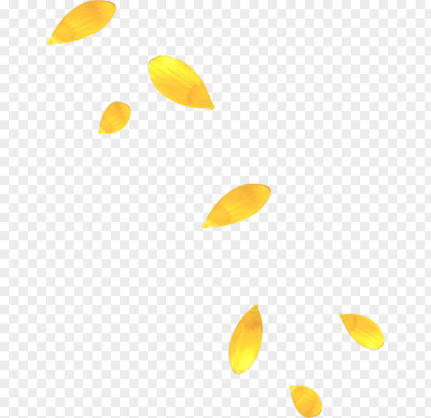 Autumn Leaves Petal Yellow Clip Art PNG