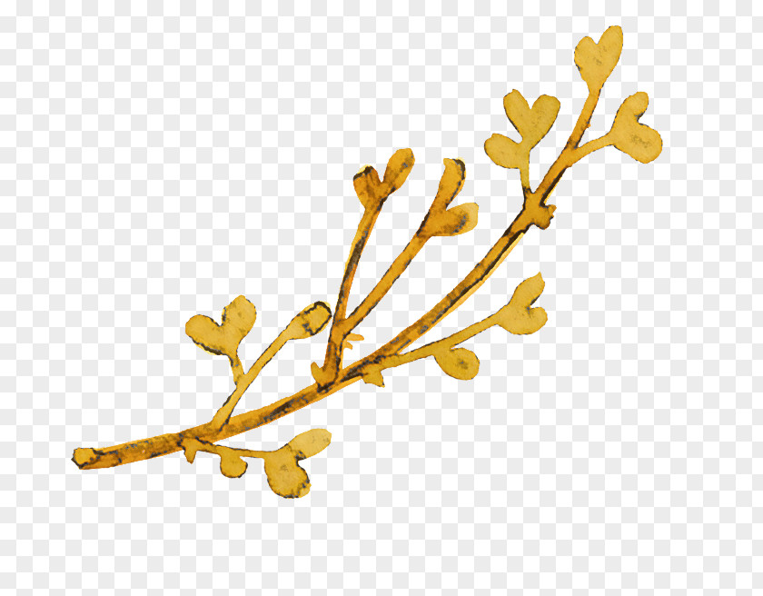 Branch Flower Plant Twig Tree PNG