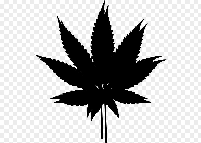 Cannabis Hash, Marihuana & Hemp Museum Clip Art PNG