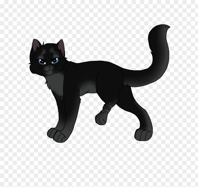 Cat Domestic Short-haired Whiskers Mumbai Paw PNG