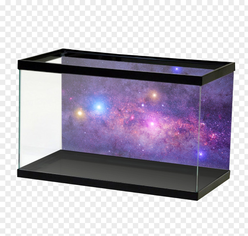 Cosmic Nebula Reef Aquarium Goldfish & Tropical Fish Desktop Wallpaper PNG
