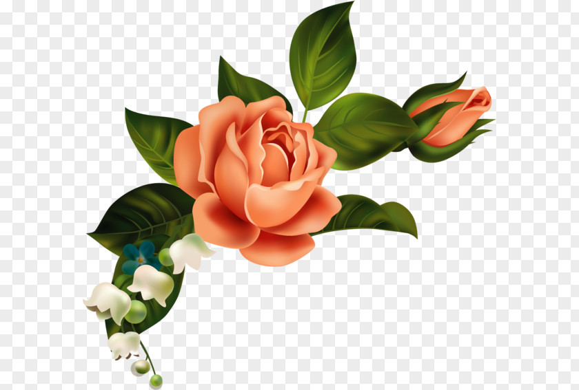 Flower Rose Floral Design Clip Art PNG
