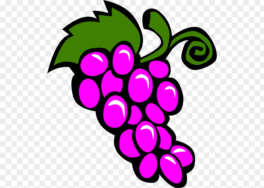 Fruitpictures Common Grape Vine Wine Chardonnay Clip Art PNG