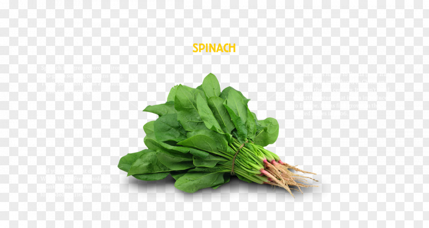 Vegetable Spinach Food Health Grocery Store PNG