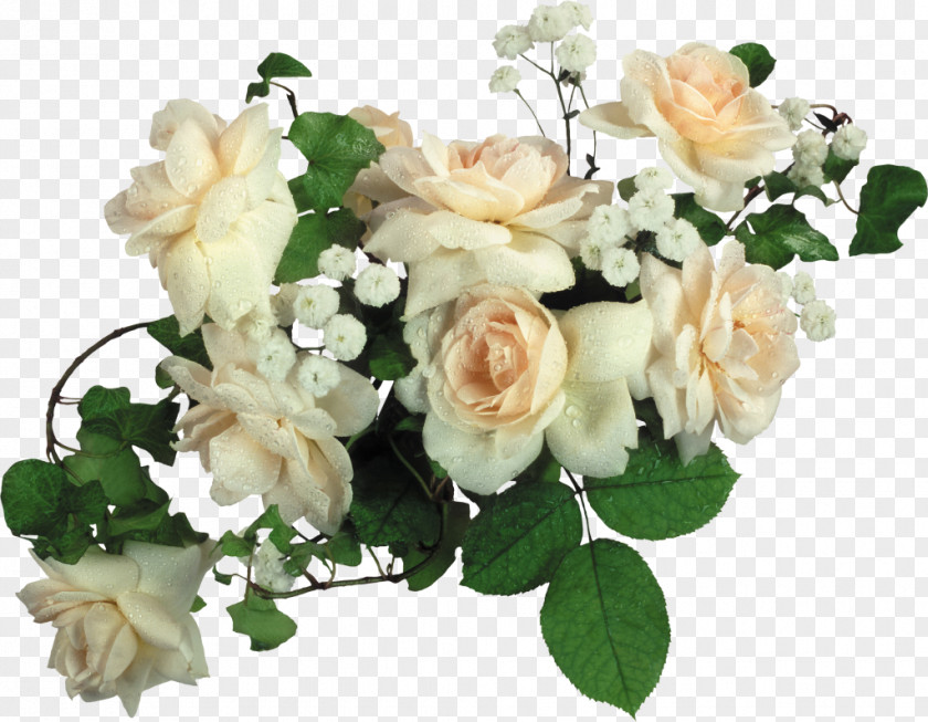 White Roses Computer Software Flower Bouquet Clip Art PNG