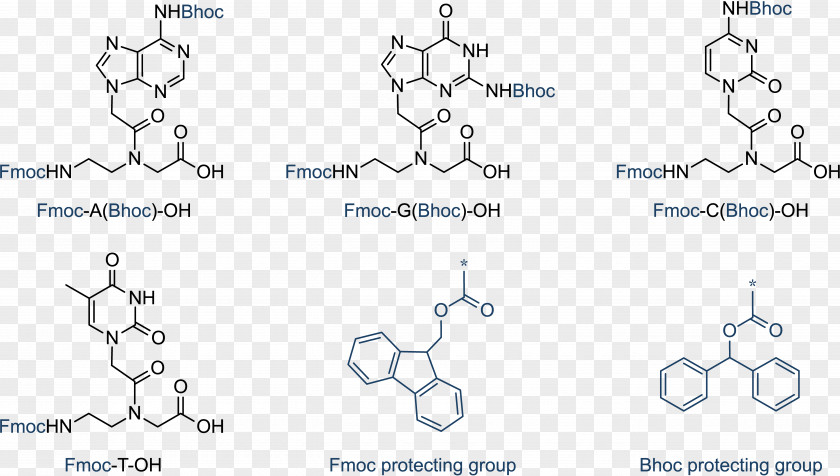 Chlorine Peptide Nucleic Acid Monomer Chemistry PNG