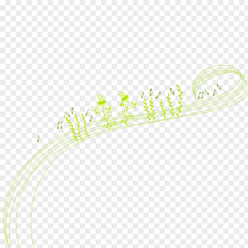 Green Line Notes Pattern PNG