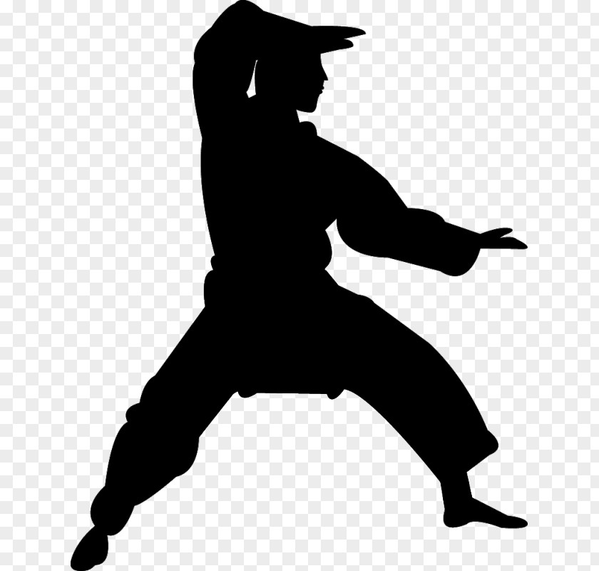 Karate Chinese Martial Arts Silhouette Kata PNG