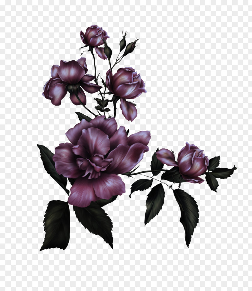Magnolia Petal Flower Lilac Purple Violet Plant PNG