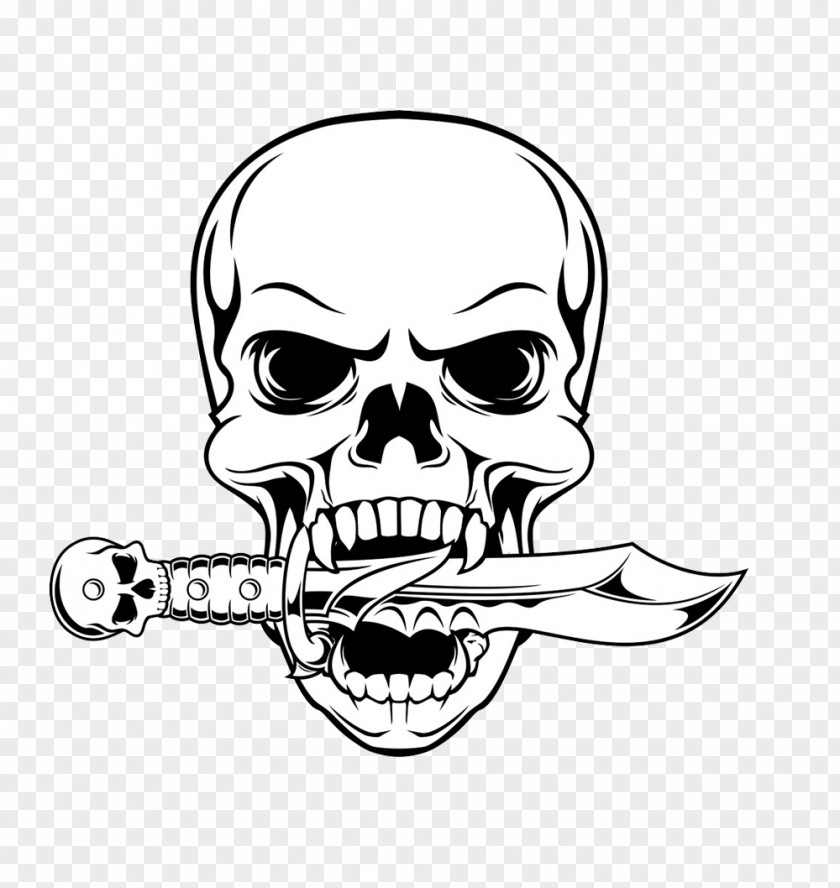 Skull Drawing Illustration PNG