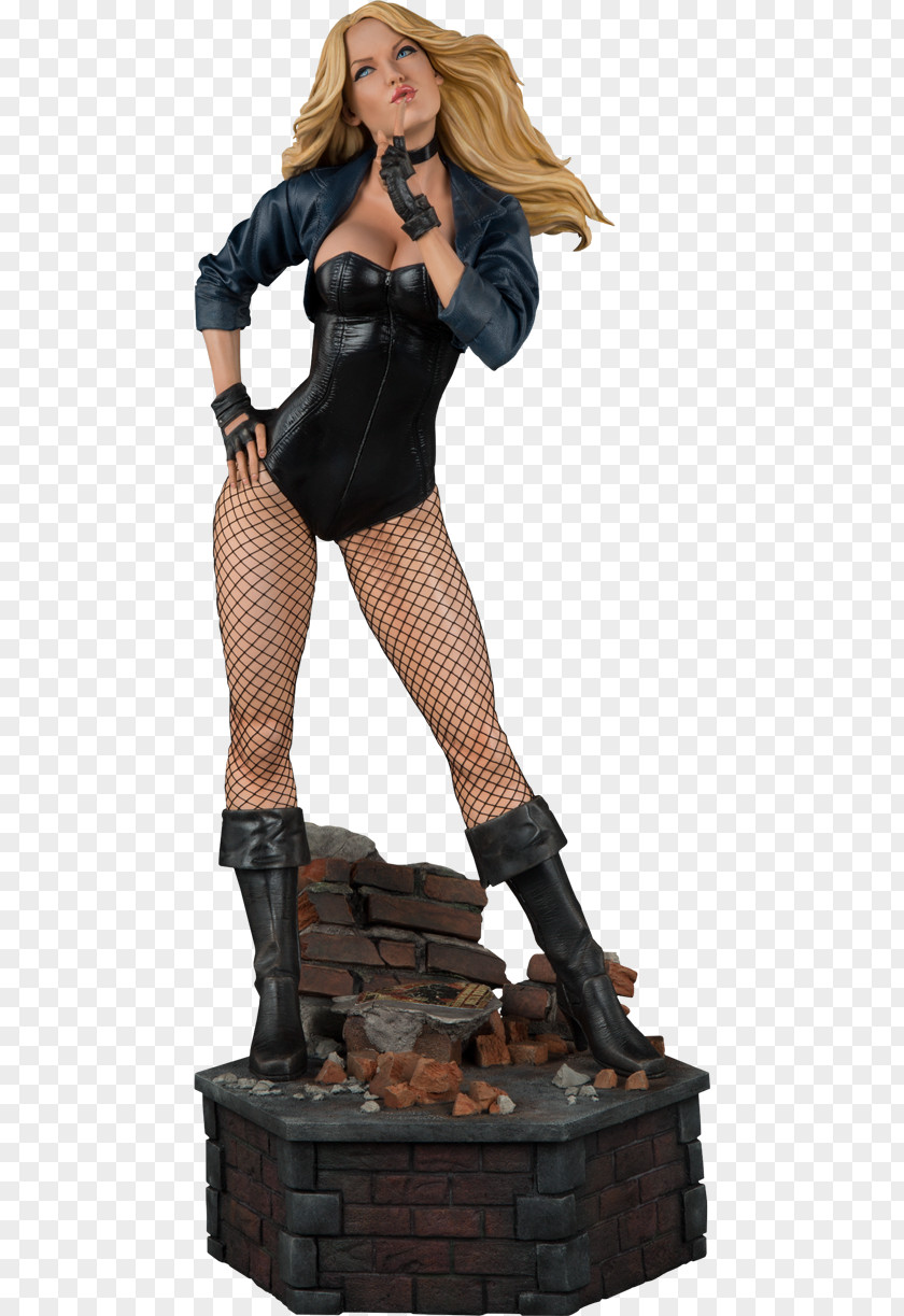 Black Canary Justice League Green Arrow Huntress Sideshow Collectibles PNG