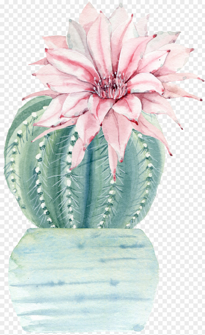 Cactus Drawing Watercolor Painting Art Illustration PNG