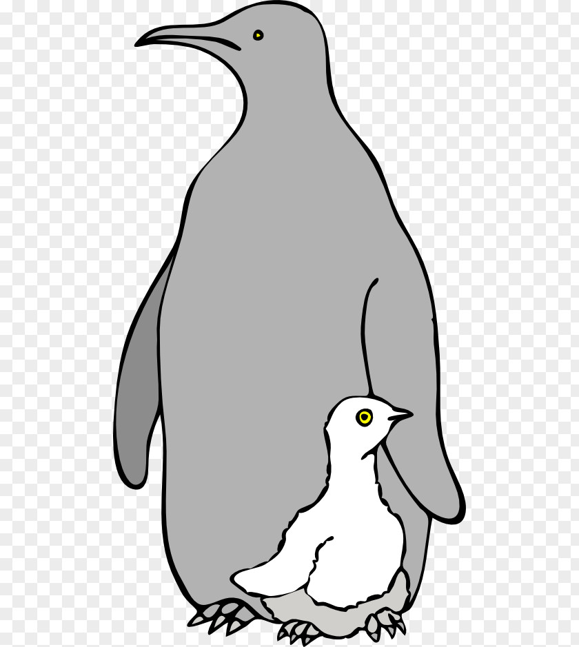 Cartoon Seagull Penguin Clip Art PNG
