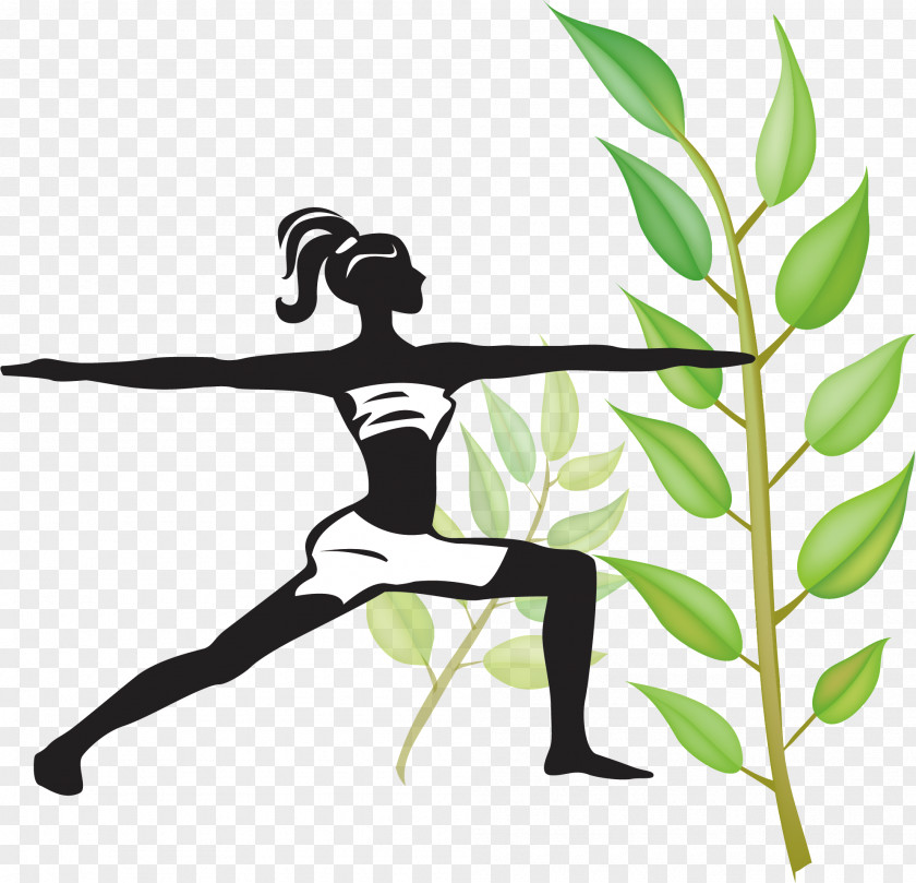 Creative Yoga Picture Physical Exercise Asana Fitness PNG