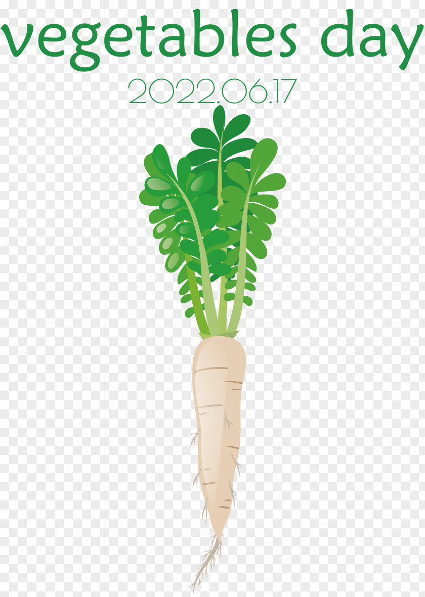 Salad PNG