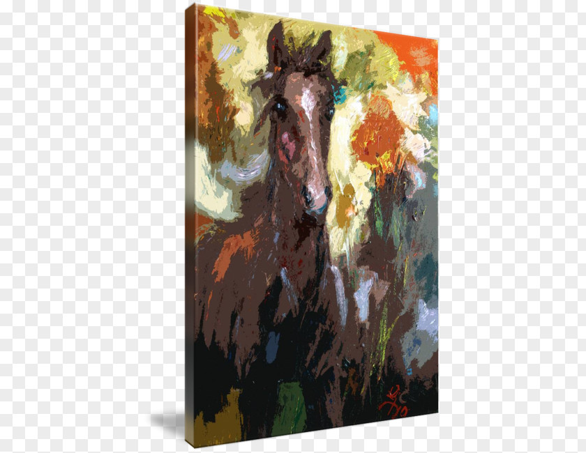 Abstract Modern Watercolor Painting Mustang Foal Stallion PNG