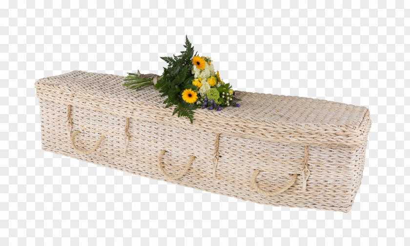Banana Leaves Rectangle Leaf Coffin Pillow PNG