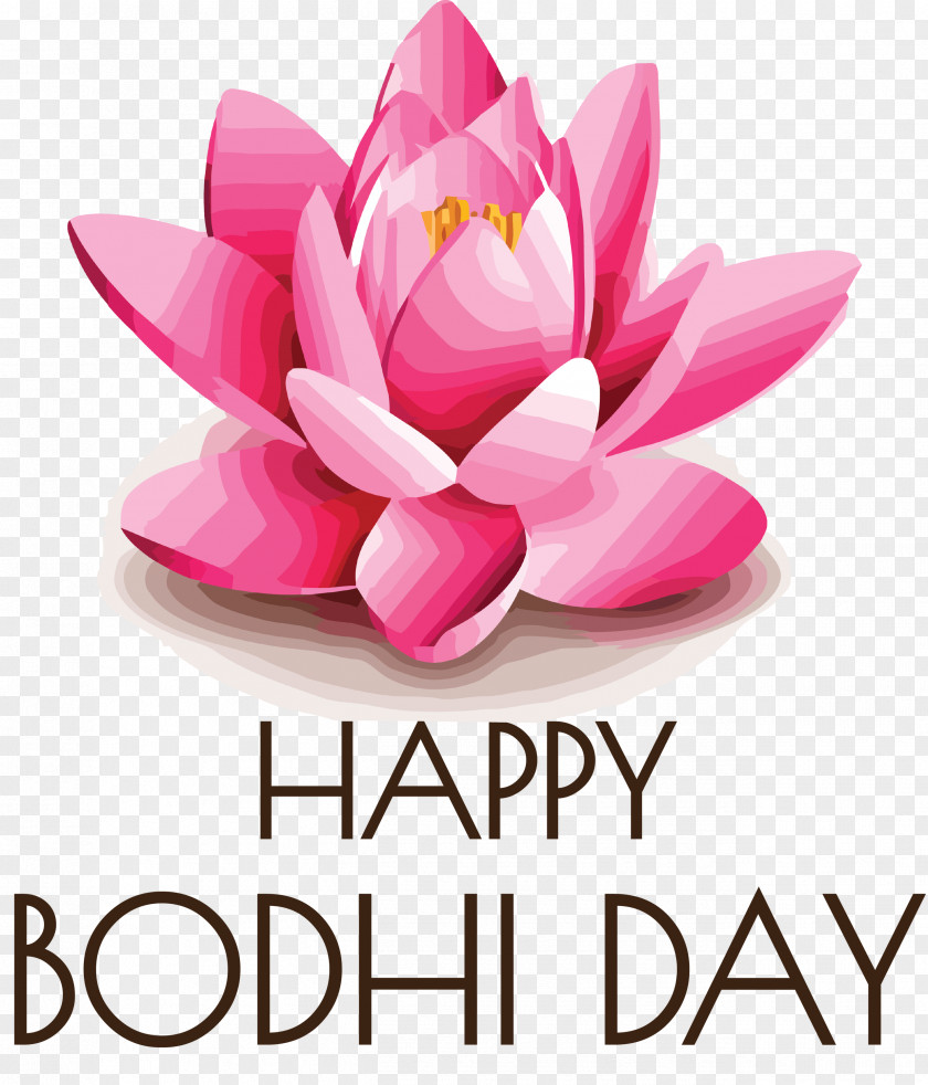 Bodhi Day Buddhist Holiday Bodhi PNG