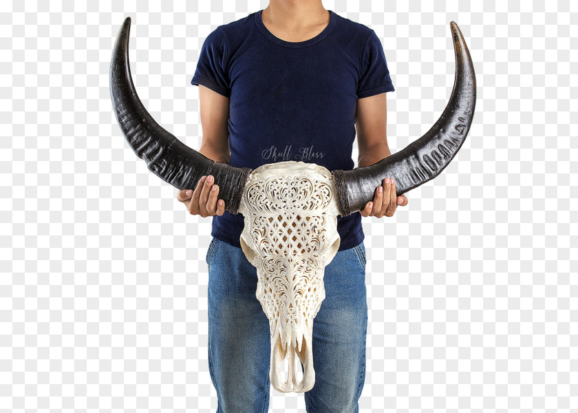 Buffalo Skull Horn Cattle Flower PNG