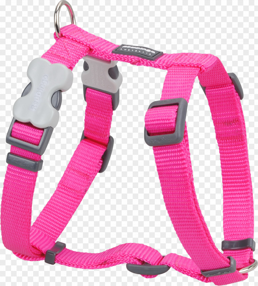 Dog Dingo Harness Puppy Collar PNG