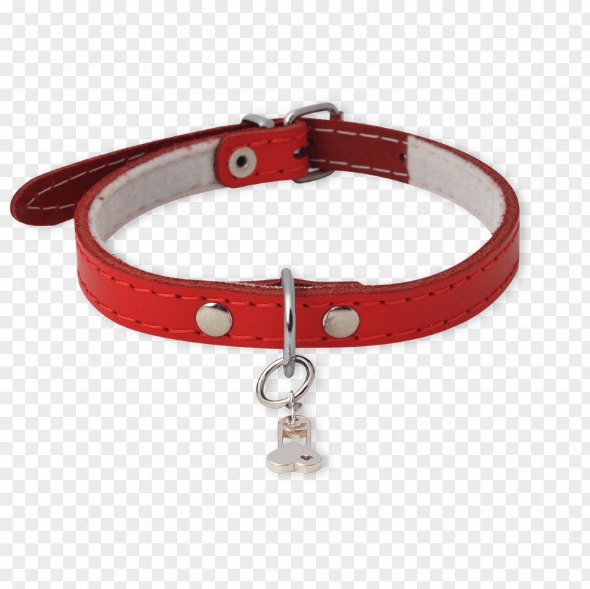 Dog With Collar Bracelet Netherlands Jewellery Omega SA Necklace PNG