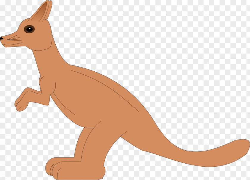 Kangaroo Red Fox Macropodidae Dog Canidae PNG