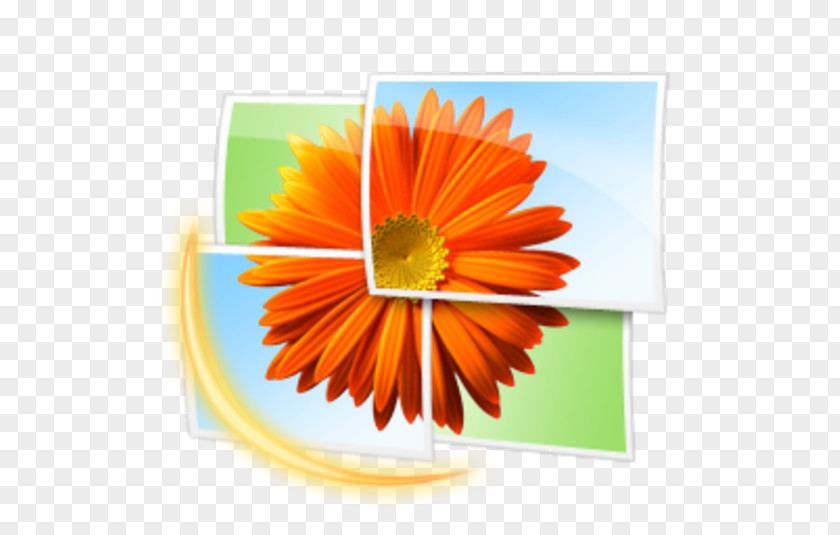 Microsoft Windows Photo Gallery Image Viewer Live PNG