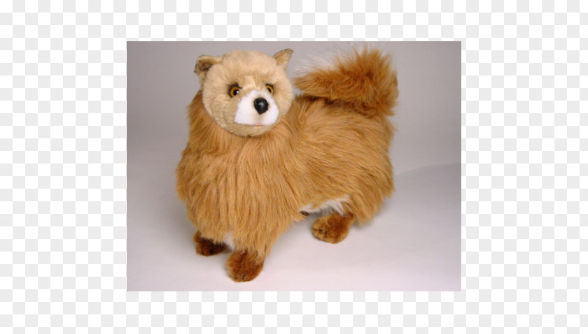 Pomeranian Stuffed Animals & Cuddly Toys Dog Breed Centimeter PNG