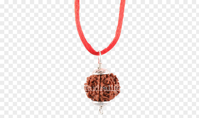 Goddess Lakshmi Rudraksha Rudralife Charms & Pendants Bead Locket PNG