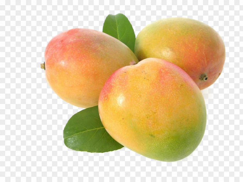 Mango Getty Images Fruit PNG