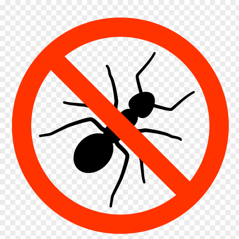Pest Argentine Ant Control Solenopsin Foraging PNG