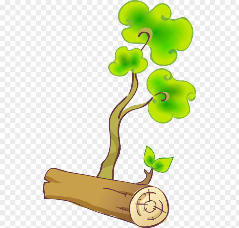 Tree Stump Branch Trunk Clip Art PNG
