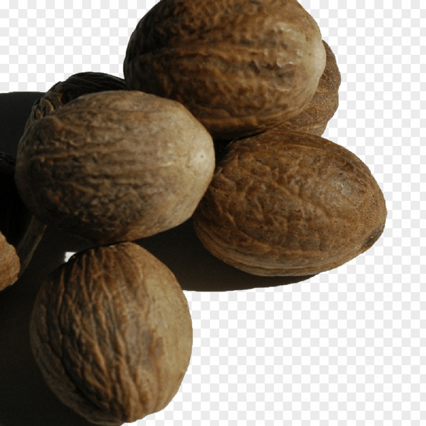 Walnut Nutmeg Peppersoup Spice Monodora Myristica PNG