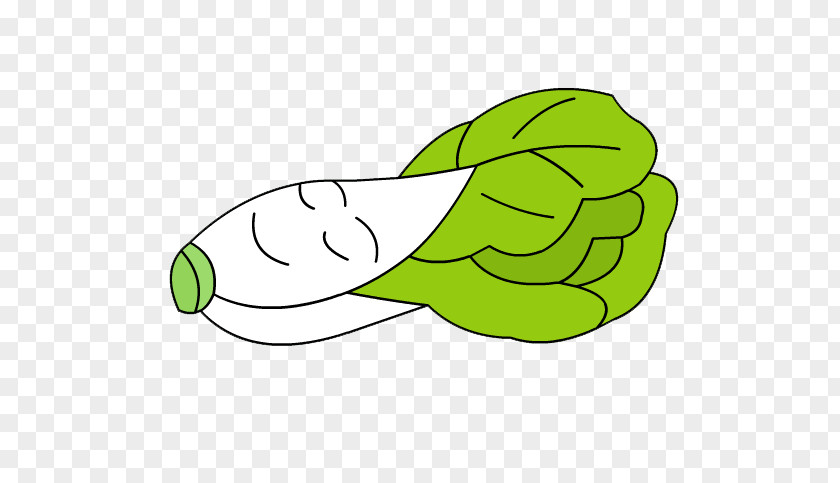 Cartoon Green Vegetables Napa Cabbage Chinese PNG