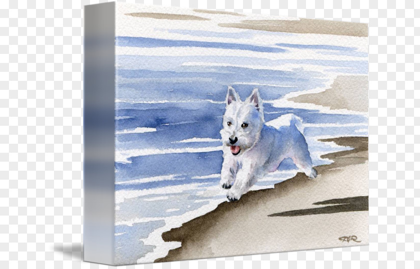 Painting West Highland White Terrier Dog Breed Picture Frames PNG