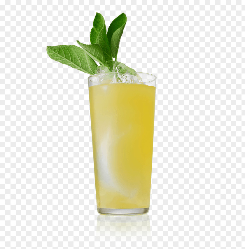 Pomelo Tea Juice Cocktail Garnish Mai Tai Fizzy Drinks PNG