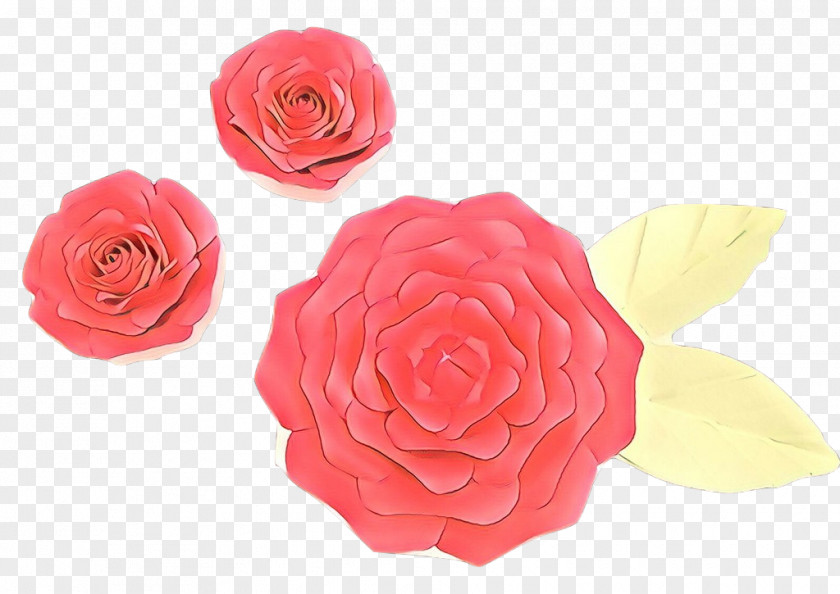 Rose Order Yellow Garden Roses PNG