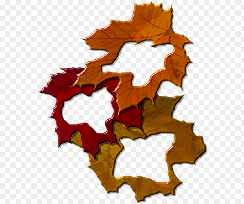 Autumn Leaf Clip Art PNG