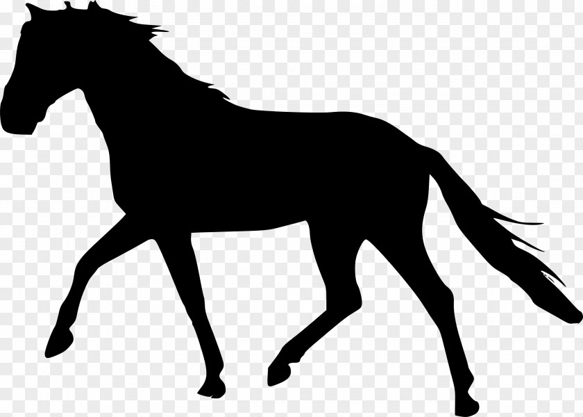 Clip Art Vector Graphics Horse Illustration PNG